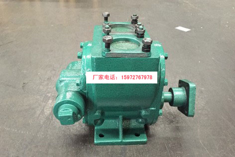 億豐100YHCB-100油泵圓弧齒輪油泵圖片